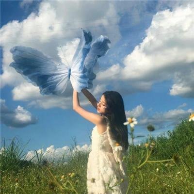 孤国春秋第五季